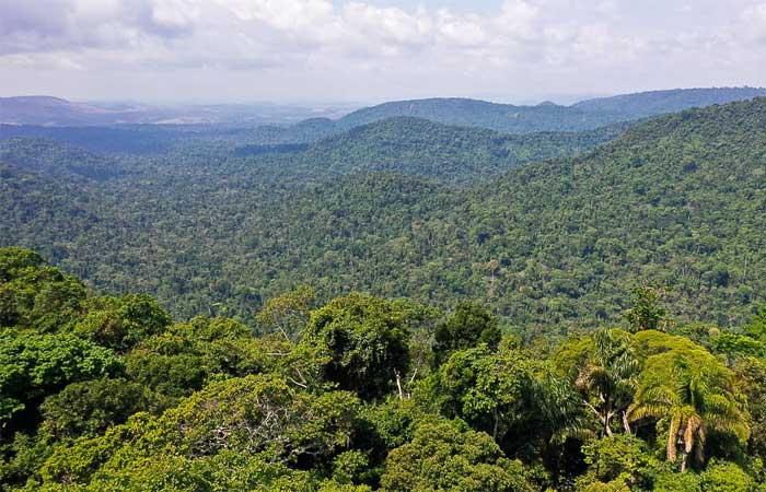 Festivais Dia da Amazônia alertam para defesa dos biomas brasileiros
