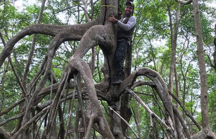 Angelo Bernardino revela as riquezas ecológicas das florestas de mangue da Amazônia