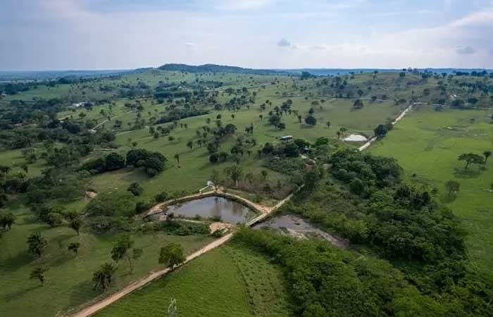 Pelo menos 11% das Cabeceiras do Pantanal precisam ser restauradas