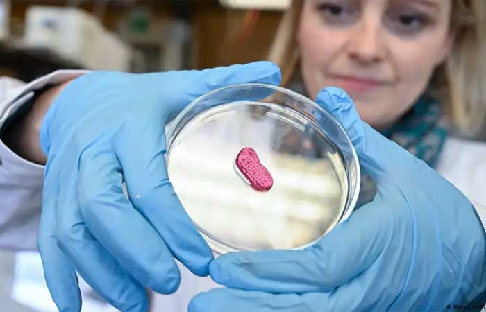 Carne de laboratório conteria células cancerosas?