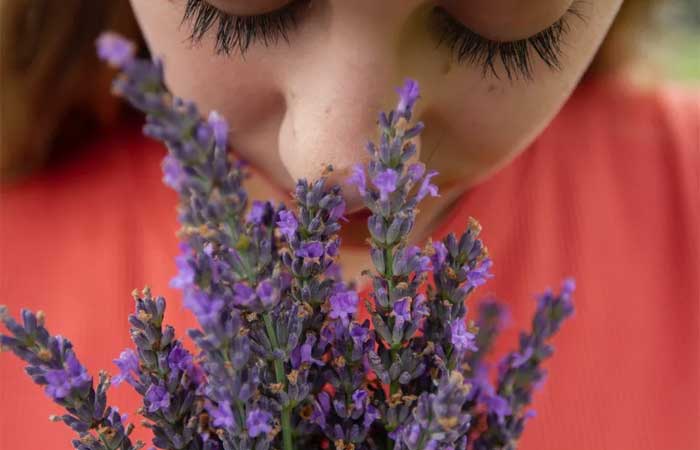 Por que alguns cheiros nos remetem a emoções e memórias?