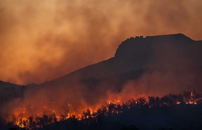 Megaincêndios estão reformulando ecossistemas por todo o planeta