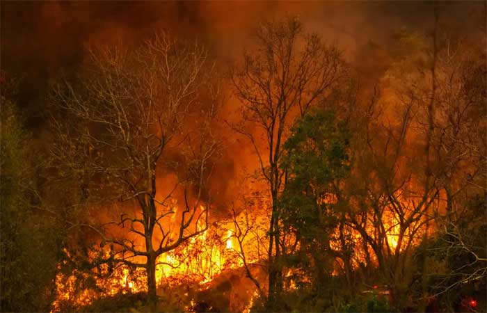Incêndios na floresta amazônica em meio à seca sufocam a cidade de Manaus