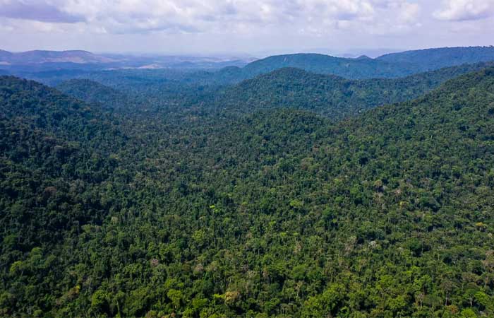 Brasil só atingirá meta climática se investir em preservação, diz estudo