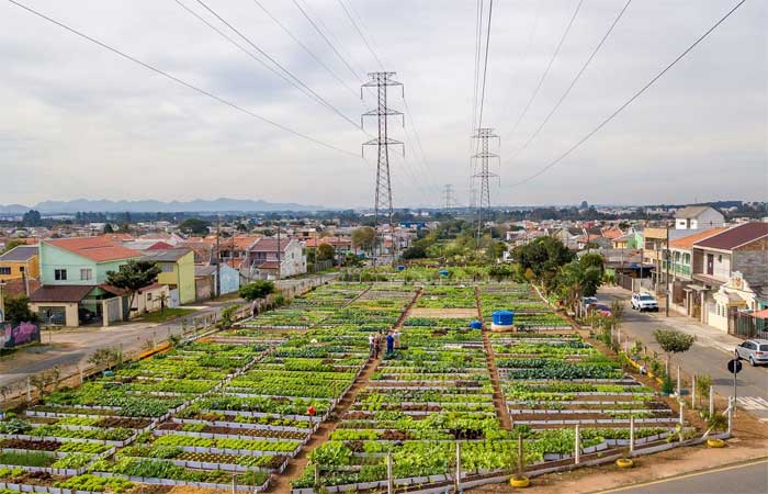 Curitiba é selecionada como cidade-modelo em projeto da ONU