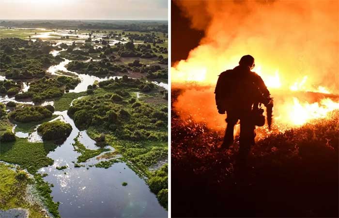 Falta de prevenção favorece incêndios no pantanal, diz líder do IHP