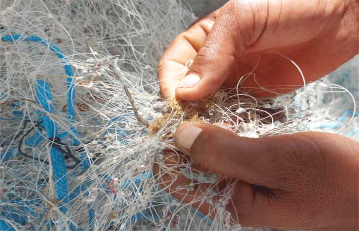 Além de peixe e camarão, últimos pescadores de Copacabana tiram do mar carioca cabelo e plástico