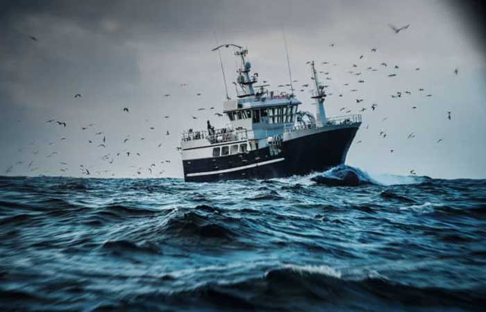 Exploração pesqueira deve ser realizada de forma sustentável