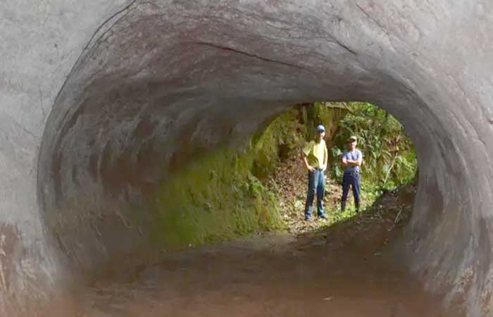 Os misteriosos túneis cavados por preguiças-gigantes no Brasil