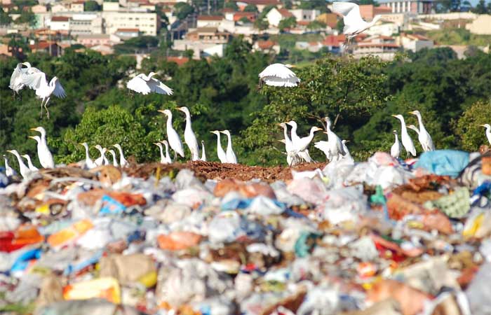 Brasil descarta 33 milhões de toneladas de lixo de forma irregular