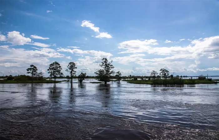 “Mudanças climáticas” é a palavra do Ano no Brasil em 2023, segundo pesquisa