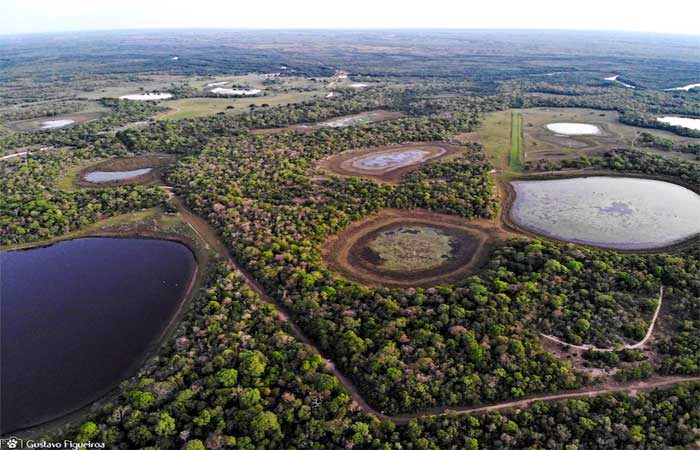 Lei que protege o Pantanal de Mato Grosso do Sul é aprovada