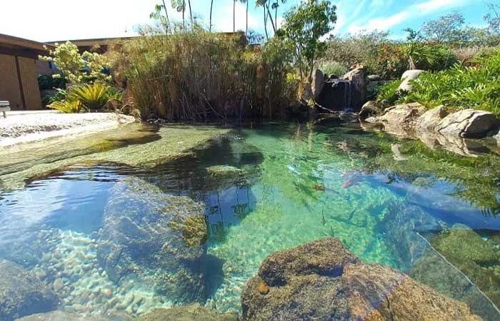 Piscinas biológicas consomem menos água e emitem menos CO2