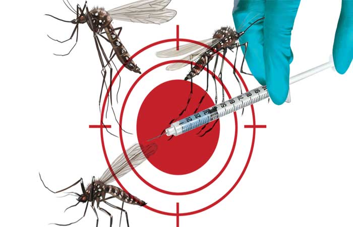 Olho na dengue: o preocupante recorde de casos e uma nova vacina no SUS