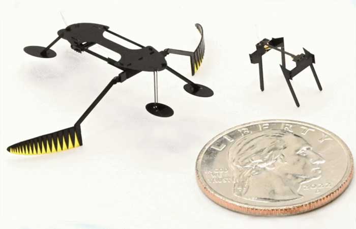 Estes insetos-robôs podem ser os menores e mais leves já feitos