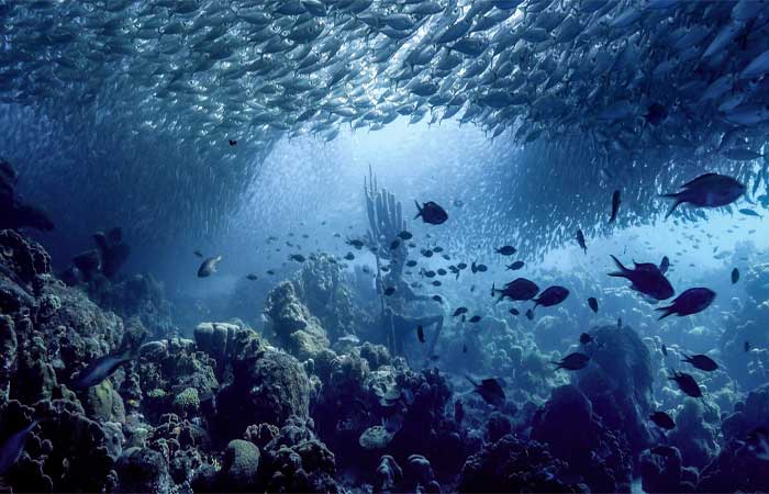 Investigadores travam “aceleração azul” que prejudica os oceanos