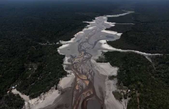 Mudanças climáticas foram ‘principal’ fator para seca recorde na Amazônia, diz estudo