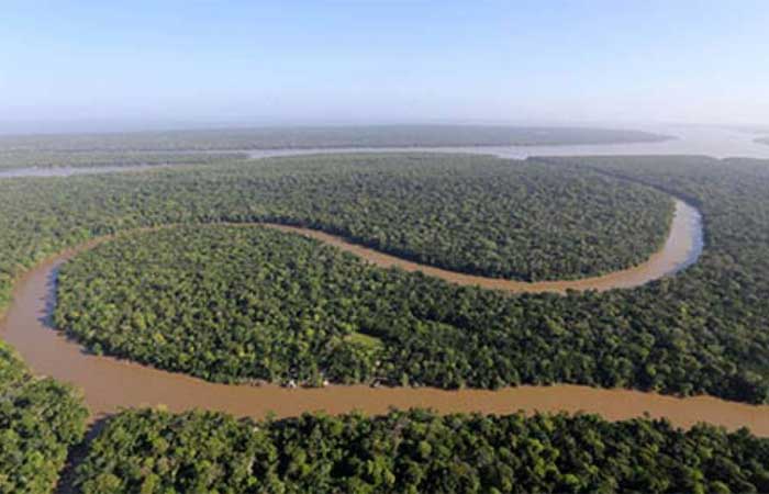 Cientistas alertam para risco de colapso na Amazônia até 2050