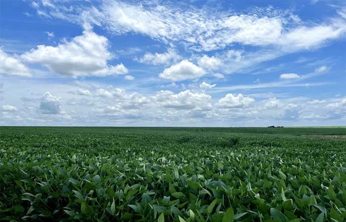 Reedição de decreto reforça expansão agrícola no Cerrado