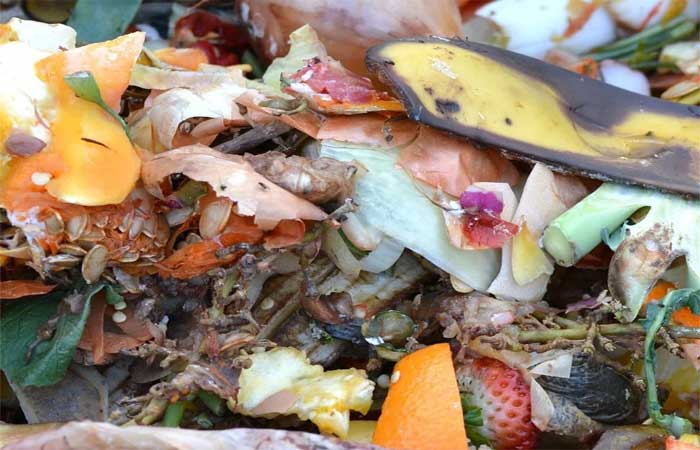 França implementa ‘compostagem obrigatória’ em todo o país