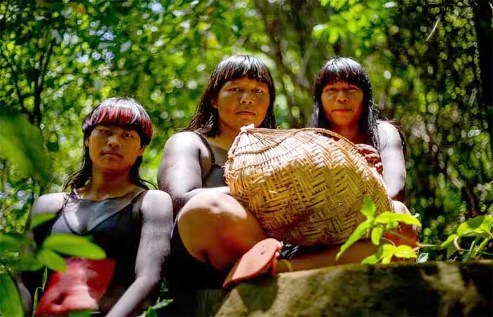 Rede Sementes do Xingu mostra valor da produção comunitária e inspira novas conexões