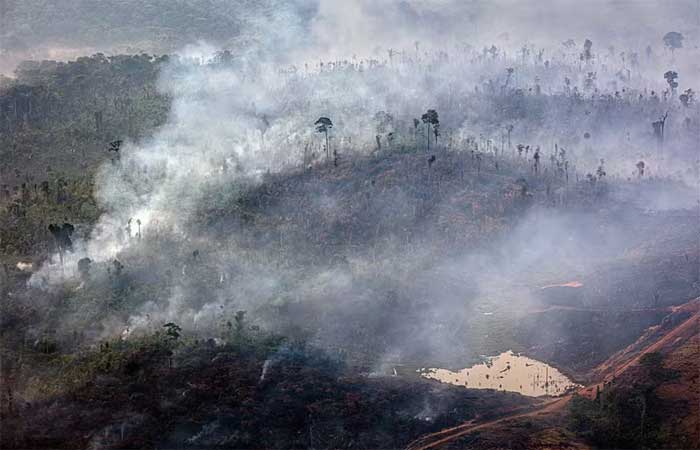 Área queimada no Brasil aumentou 248% em janeiro de 2024, estima pesquisa