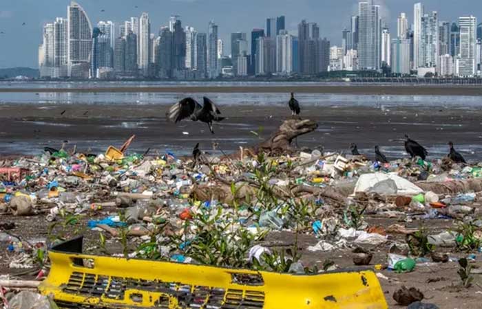 Indústria do plástico engana público sobre reciclagem há 50 anos, diz relatório