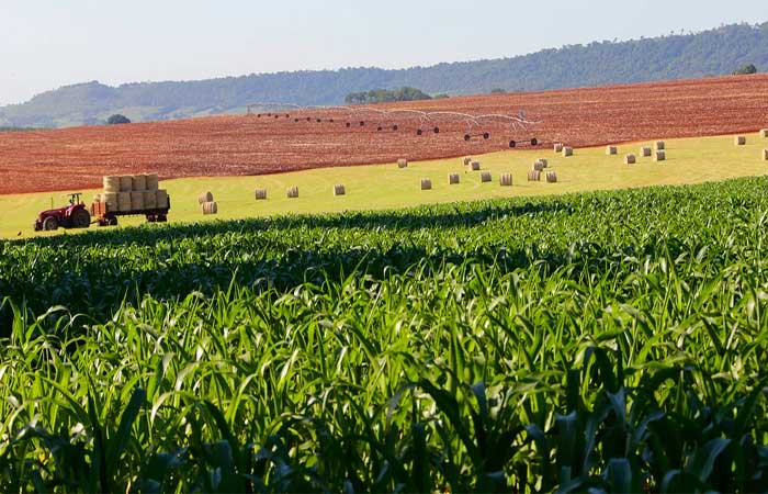 Chegada do La Niña pode afetar geração de energia e agricultura do País