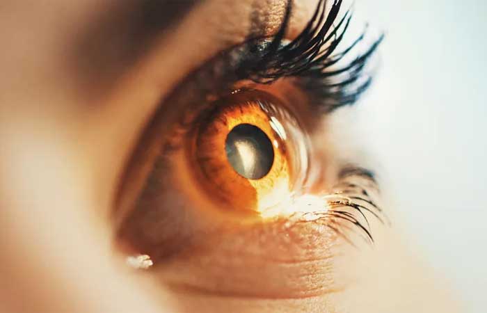 Visão solar: painéis solares nos olhos podem restaurar a visão, diz estudo