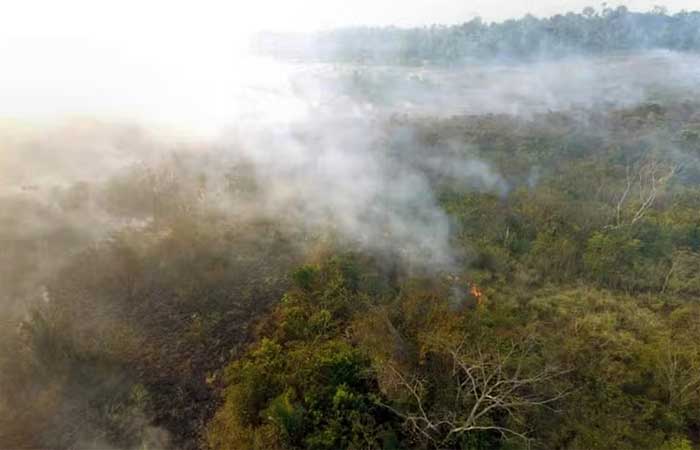 Amazônia teve marca recorde de quase 3 mil incêndios em fevereiro
