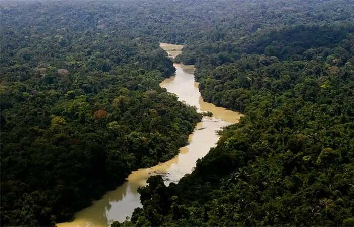 Brasil não trata meio ambiente com seriedade, diz promotor