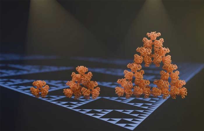 Descoberta primeira molécula fractal da natureza