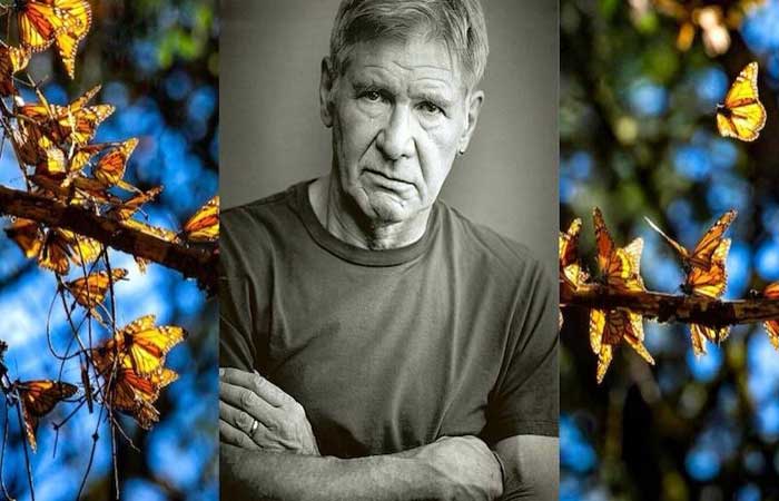 Harrison Ford faz apelo pela proteção da biodiversidade global