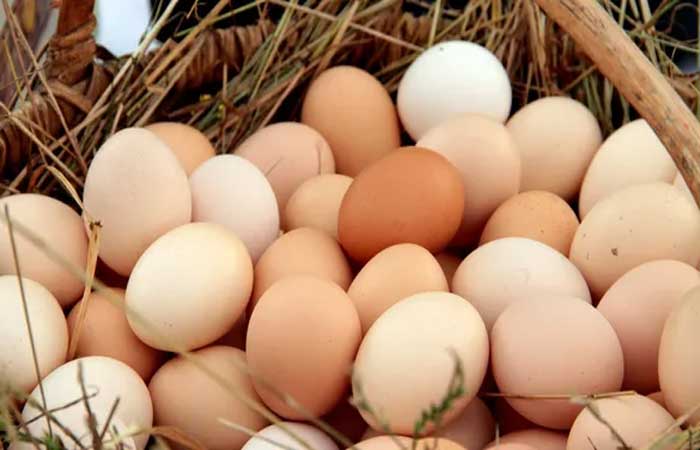 Os 4 benefícios do ovo para a saúde: ele é considerado “o alimento completo”