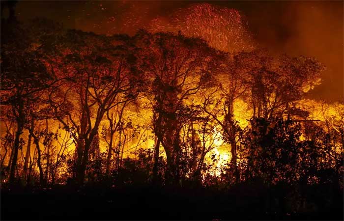 Mais de 80% das queimadas no Pantanal são causadas por humanos