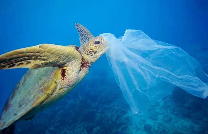 Tratado de Plásticos: empresas pedem por medidas ambiciosas