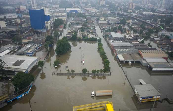 Bichos mortos e mau cheiro tomam Porto Alegre após enchente