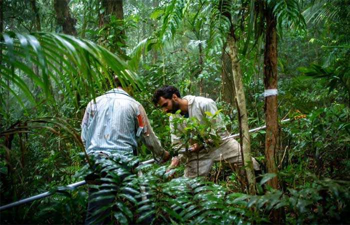 Estudo propõe mudanças para simplificar legislação da Mata Atlântica e aumentar a conservação