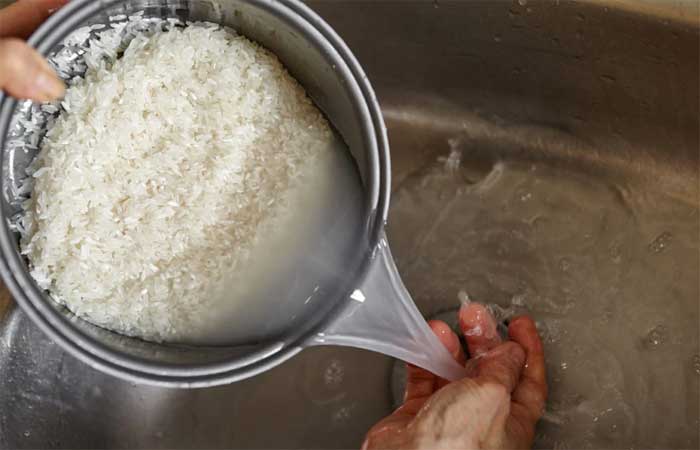 Três maneiras de aproveitar a água do arroz nas suas plantas