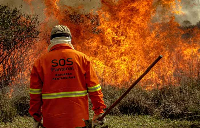 Incêndios que começam cada vez mais cedo e terminam mais tarde: entenda o que está acontecendo com o Pantanal