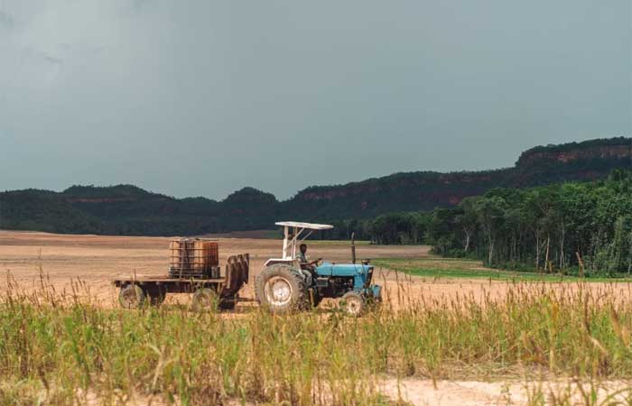 Agropecuária faz desmatamento ser maior no Cerrado que na Amazônia