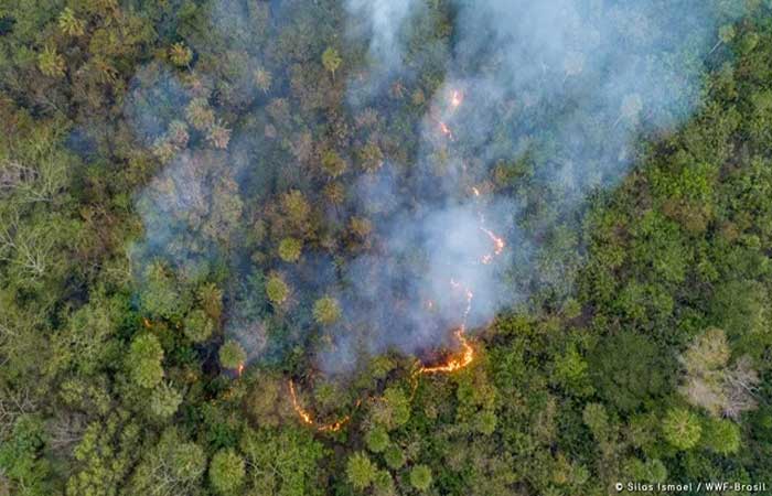 MapBiomas: Brasil teve 4,48 milhões de hectares queimados entre janeiro e junho deste ano