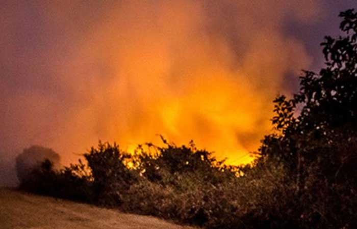 Pantanal em chamas: bioma registra 1 incêndio a cada 15 minutos em junho
