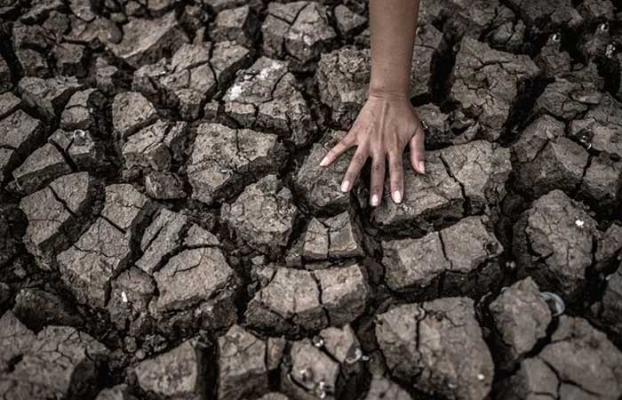 Somos a primeira geração que entendeu a  crise climática e a última que pode freá-la