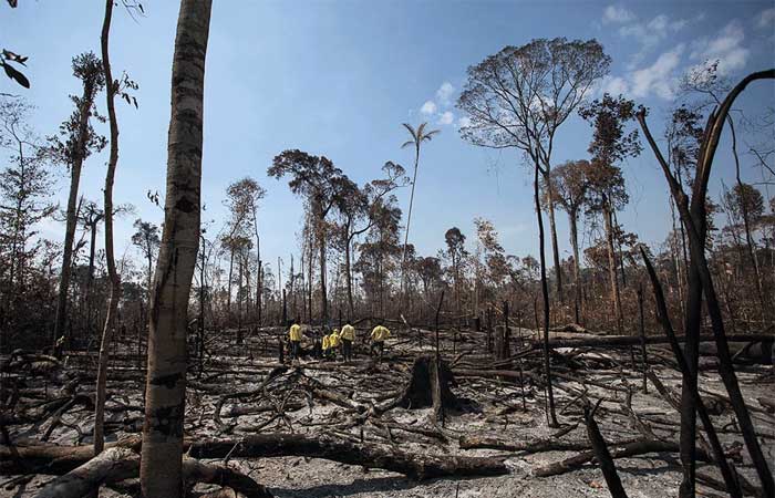 Centro gestor alerta para seca severa este ano na Amazônia