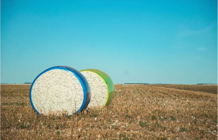 Vereadores agem contra pulverização aérea de agrotóxicos