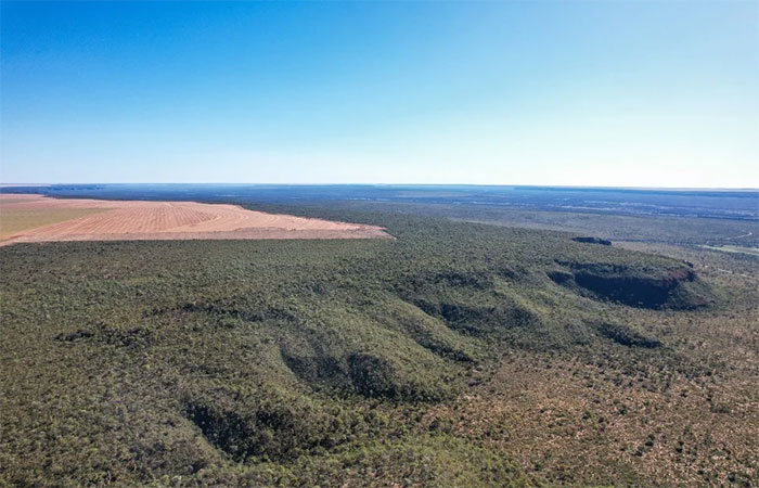 Metade do Cerrado está alterada por atividades humanas, revela estudo