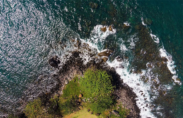 Crise climática complicou a vida em costões rochosos