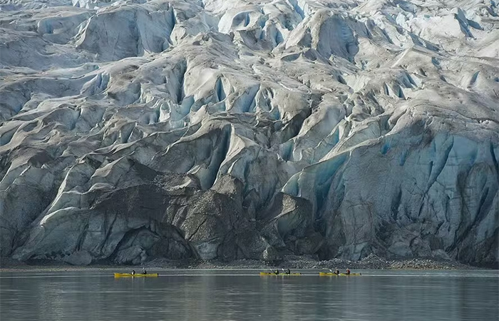 Cientistas acompanham surgimento de novos ecossistemas onde geleiras e mantos de gelo derreteram