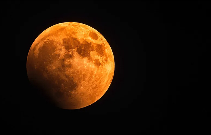 Cientistas propõem criar ‘cofre’ na Lua para preservar espécies em casos de desastre